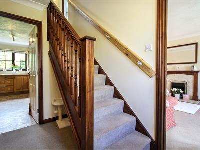 Picture 11